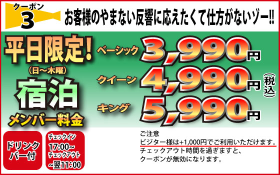 平日限定宿泊全室ベーシックルームが3990円クーポン