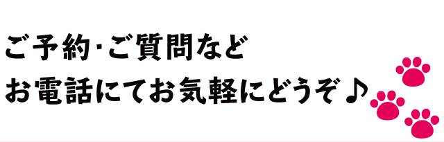 ペット同伴プランのご予約やご質問はこちらからどうぞ。